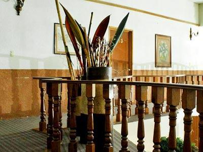 Tolosa Zacatecas